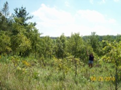 Debi standing in Walnuts